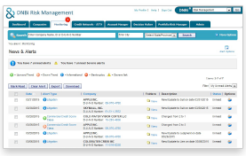 DNBi-dashboard-picture