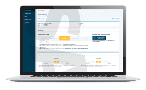Bir-Sample-Report Snapshot